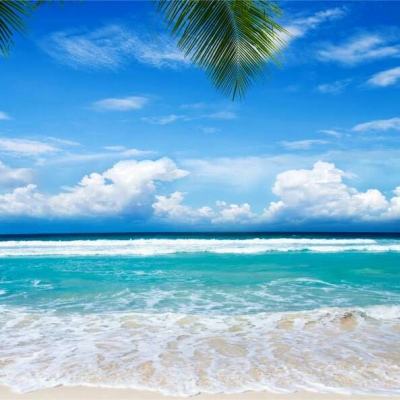 火狐体育APP体育下载手机版