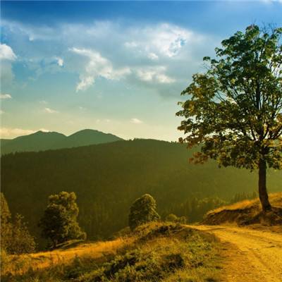 澳门第一娱乐娱城官网手机app下载